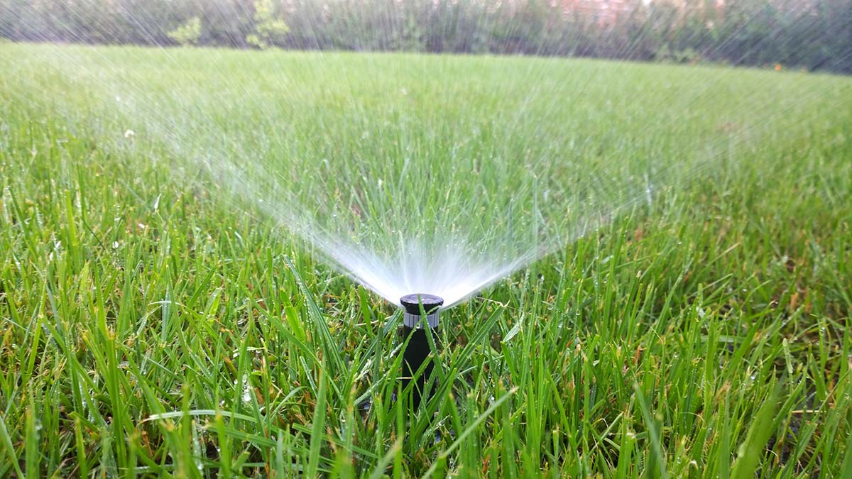 Edwardsville Irrigation Service